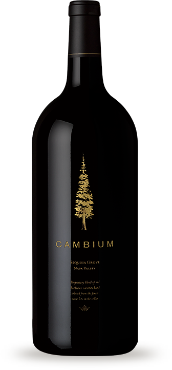 Product Image for 2009 Cambium 3L