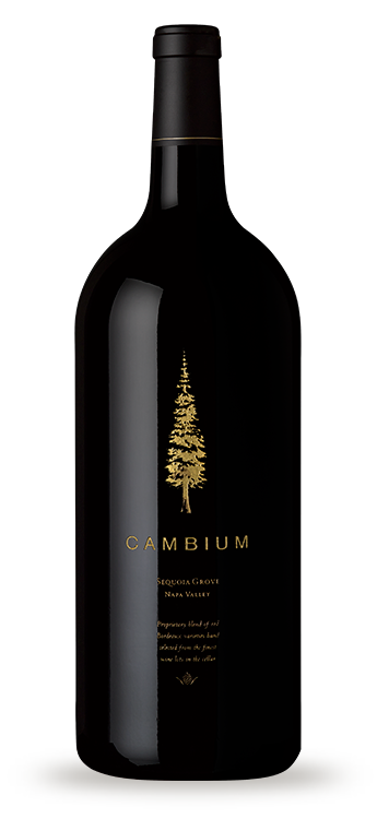 Product Image for 2011 Cambium 3L