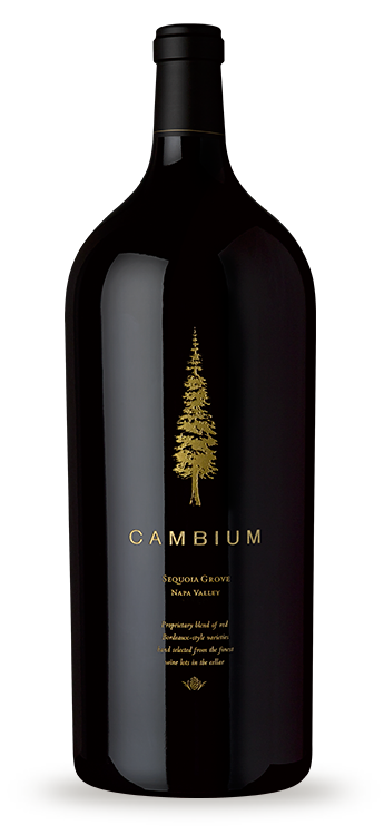 Product Image for 2010 Cambium 6L