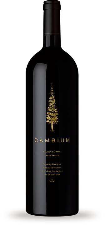 Product Image for 2010 Cambium 1.5L